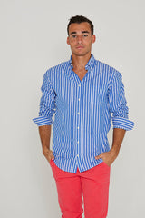 HOWARD – Chemise Popeline Manches longues Coupe droite – Homme – Bleu royal/Blanc