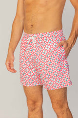 OTMAN – Straight cut cotton Bermuda shorts – Men – Khaki